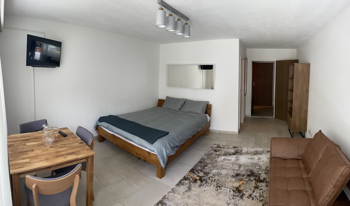 Studio panoramic with bed, dining and sofa